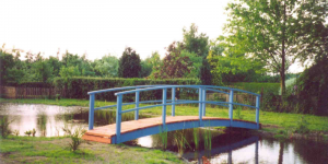 ways to choose Backyard Pond bridges